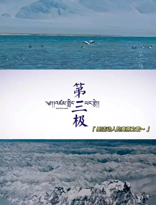 第三极 普通话1080纪录片6集高清完整版在线观看 资源下载分享