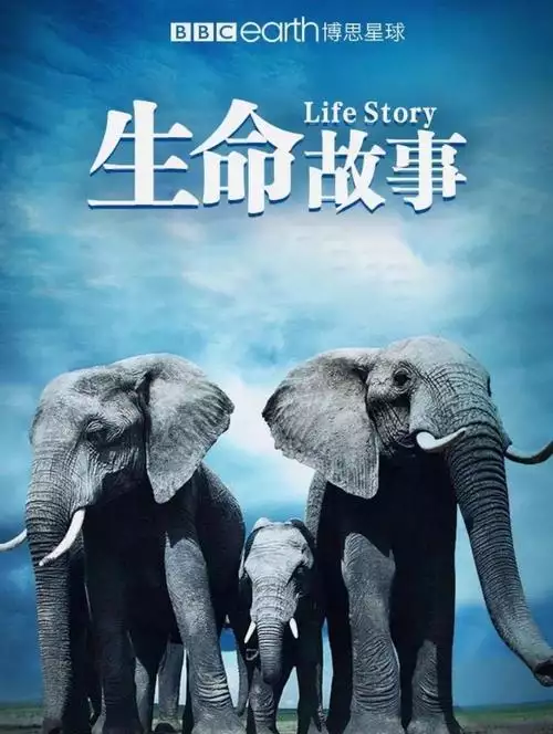 生命故事 普通话1080纪录片6集高清完整版在线观看 资源下载分享