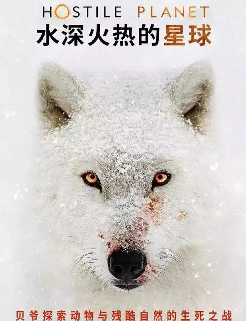 水深火热的星球 英语纪录片6集高清完整版在线观看 资源下载分享