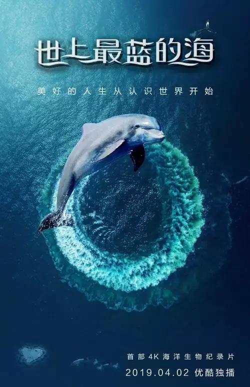 世上最蓝的海 英语 双语字幕纪录片8集高清完整版在线观看 资源下载分享