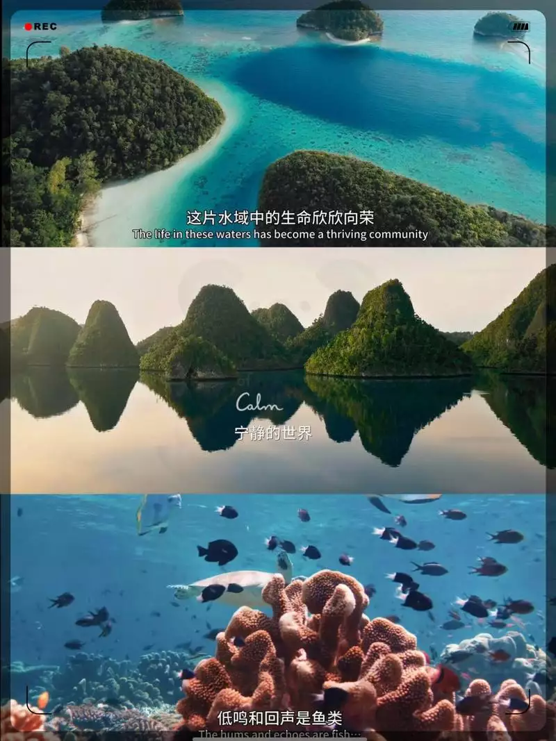 宁静的世界 英语 双语字幕纪录片10集高清完整版在线观看 资源下载分享