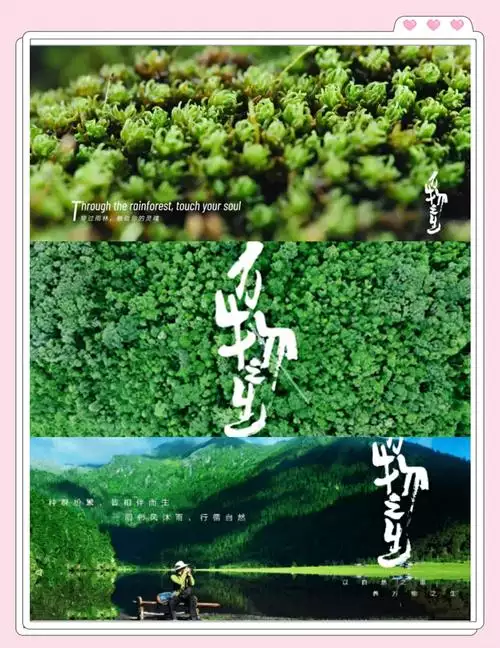 万物之生 普通话纪录片 5 集高清完整版在线观看 资源下载分享