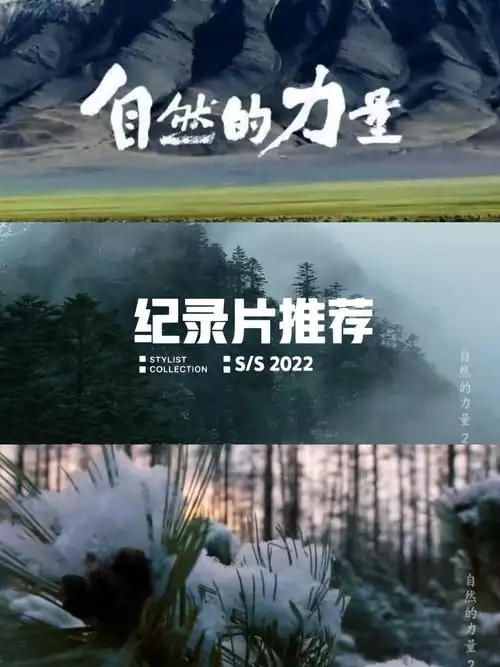 自然的力量 普通话纪录片6集高清完整版在线观看 资源下载分享