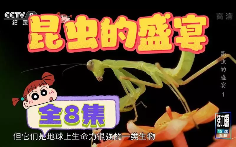 昆虫的盛宴 普通话纪录片8集高清完整版在线观看 资源下载分享