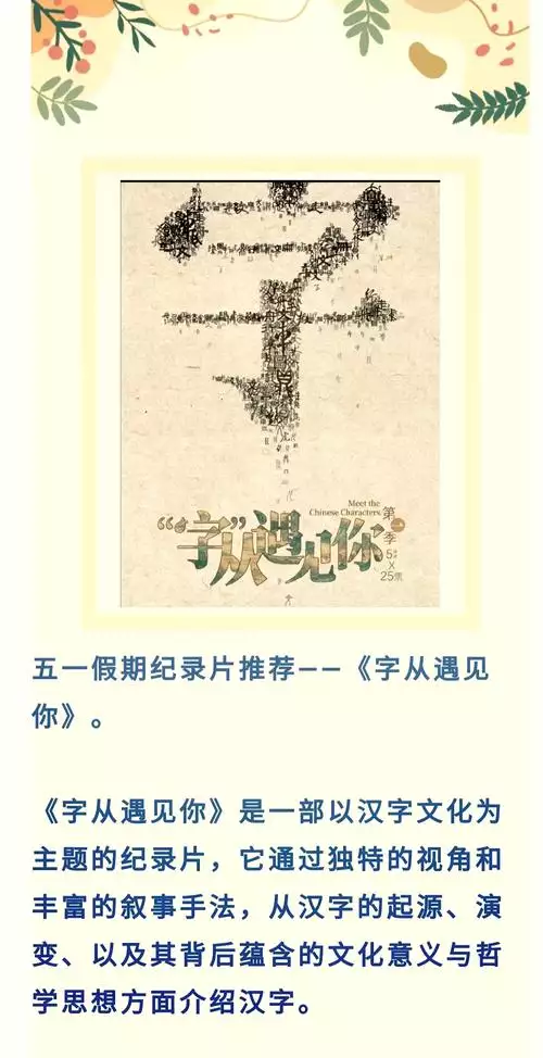 字从遇见你 国语 中字纪录片 25 集高清完整版在线观看 资源下载分享