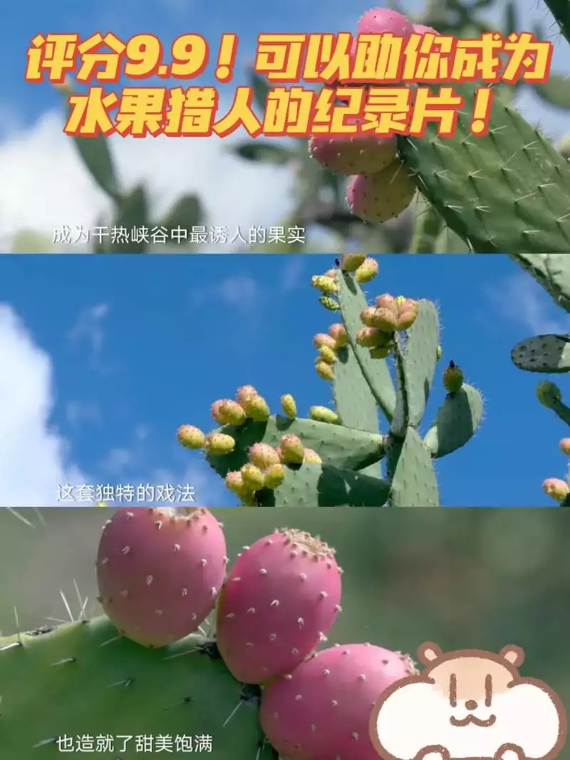 《水果传 第 2 季》全.2019. 中国. 美食 中文纪录片 8 集高清完整版在线观看 资源下载分享 《水果传 第 2 季》全.2019. 中国. 美食 中文纪录片 8 集高清完整版在线观看 资源下载分享