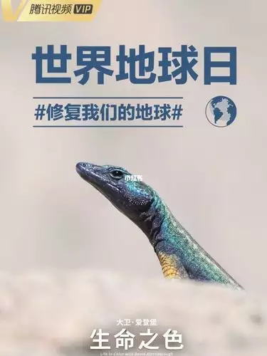 生命之色 英语 双语字幕纪录片 4 集高清完整版在线观看 资源下载分享 生命之色 英语 双语字幕纪录片 4 集高清完整版在线观看 资源下载分享