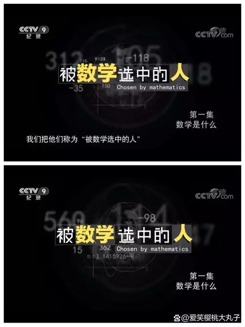 被数学选中的人 汉语中字纪录片 4 集高清完整版在线观看 资源下载分享 被数学选中的人 汉语中字纪录片 4 集高清完整版在线观看 资源下载分享