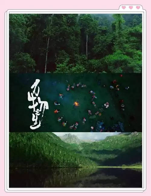 万物之生 普通话纪录片 5 集高清完整版在线观看 资源下载分享
