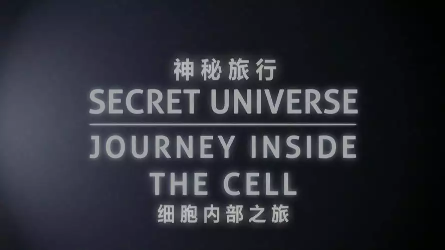 神秘旅行：细胞内部之旅 英语 中字字幕纪录片 1 集高清完整版在线观看 资源下载分享