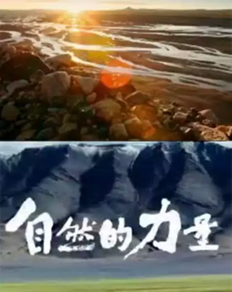自然的力量 普通话纪录片 6 集高清完整版在线观看 资源下载分享