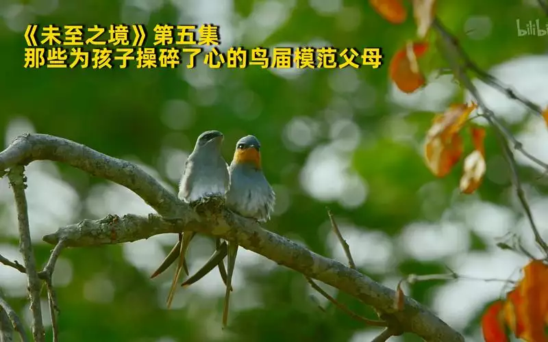 未至之境 英语中字 1080 纪录片 5 集高清完整版在线观看 资源下载分享 未至之境 英语中字 1080 纪录片 5 集高清完整版在线观看 资源下载分享