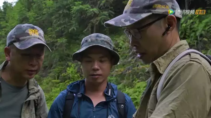 南岭物语 普通话 1080 纪录片 3 集高清完整版在线观看 资源下载分享 南岭物语 普通话 1080 纪录片 3 集高清完整版在线观看 资源下载分享