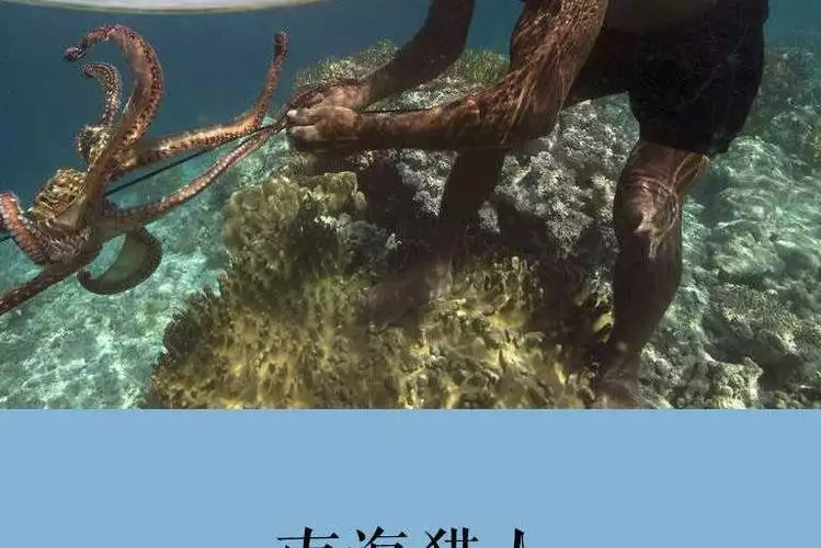 南海猎人 英语 中文字幕纪录片 3 集高清完整版在线观看 资源下载分享