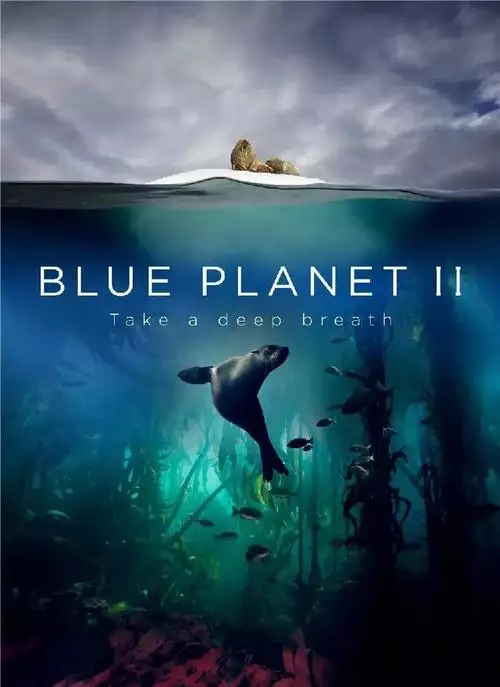 世上最蓝的海 英语 双语字幕纪录片 8 集高清完整版在线观看 资源下载分享