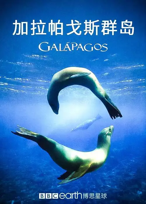 加拉帕戈斯群岛的使命 英语 中文字幕纪录片 3 集高清完整版在线观看 资源下载分享 加拉帕戈斯群岛的使命 英语 中文字幕纪录片 3 集高清完整版在线观看 资源下载分享