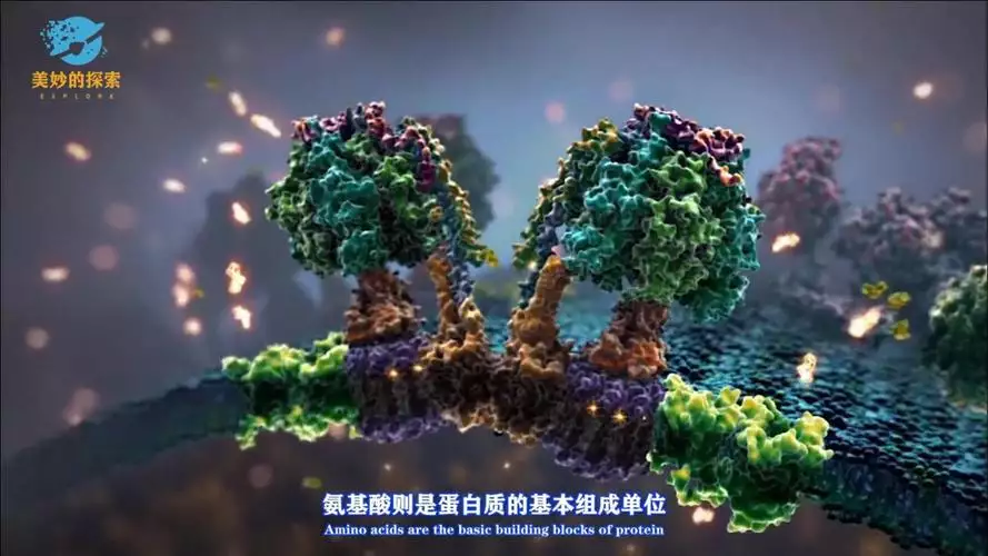 神秘旅行：细胞内部之旅 英语 中字字幕纪录片 1 集高清完整版在线观看 资源下载分享