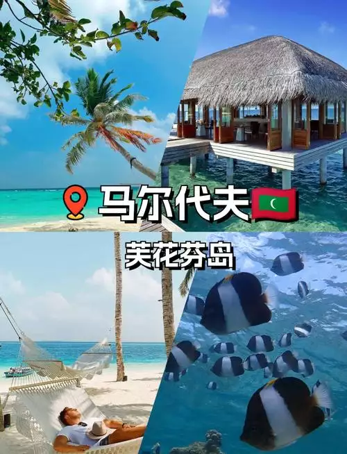 魅力马尔代夫 普通话纪录片 3 集高清完整版在线观看 资源下载分享 魅力马尔代夫 普通话纪录片 3 集高清完整版在线观看 资源下载分享