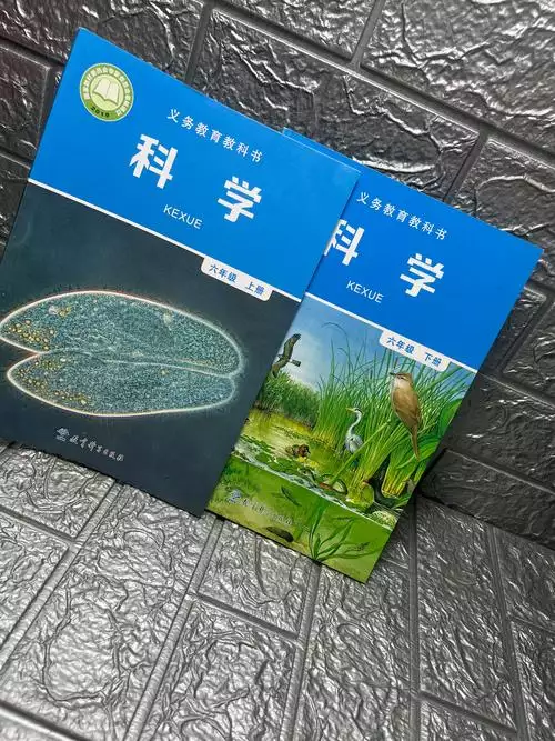 01_蜂巢天鹅酥《比例》 小吃摆摊技术配方视频教程下载 创业资料分享