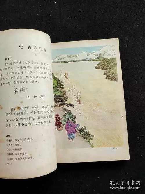 一汁多用《新派口水鸡》配方教程 创业开店必备