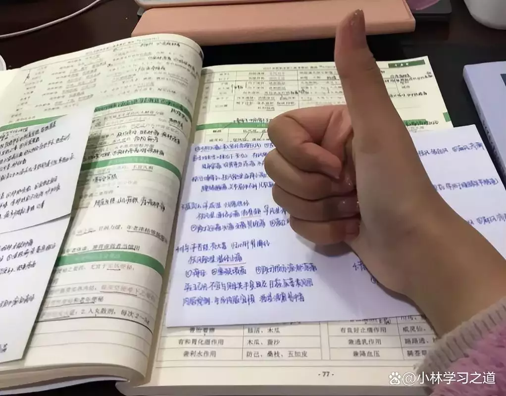 招牌黑叉烧配方与教程制作方法 小吃创业技术