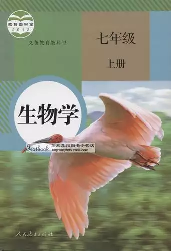 第 1 讲数与式 ( 一) 学习资料合集 免费下载 第 1 讲数与式 (一) 学习资料合集 免费下载