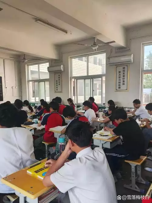 第 12 讲学期末知识点综合扫描与高一学 高中学习资料合集 免费下载