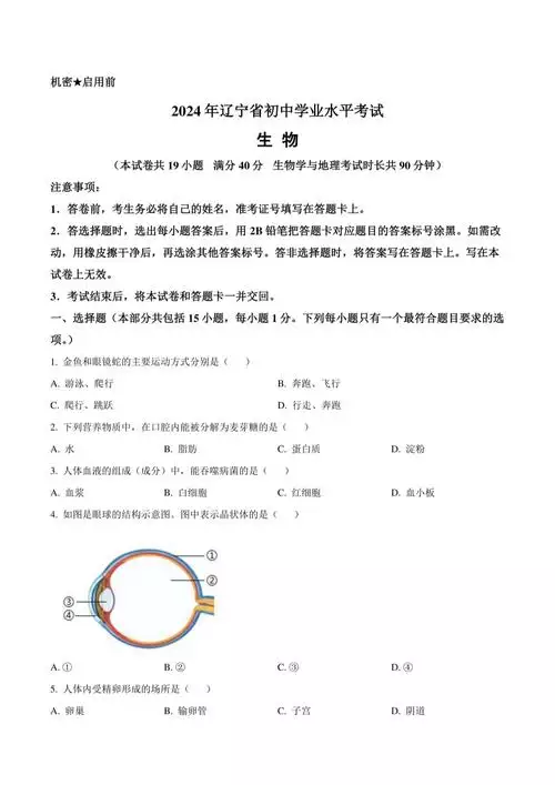 中考道德与法治常备解题攻略 初中学习资料合集 免费下载