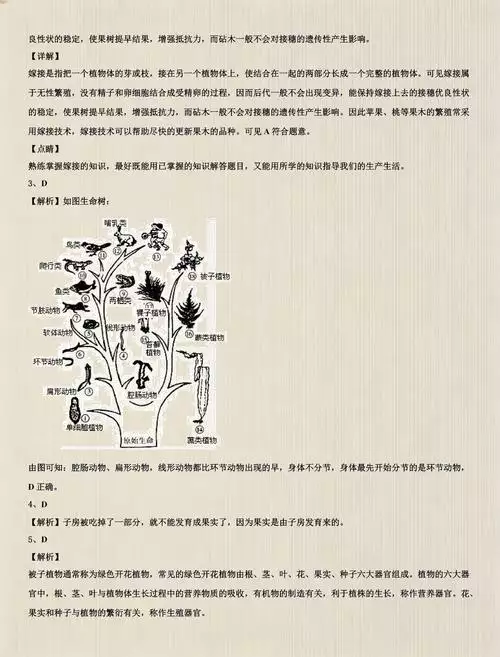 2026 版 9 科 初中学习资料合集 免费下载