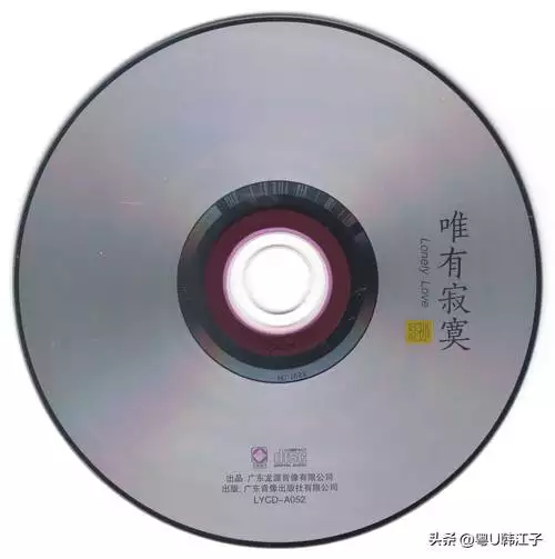 【合同模板】设立中外合资经营企业合同（计算机1）下载 | 专业法律文书一键获取