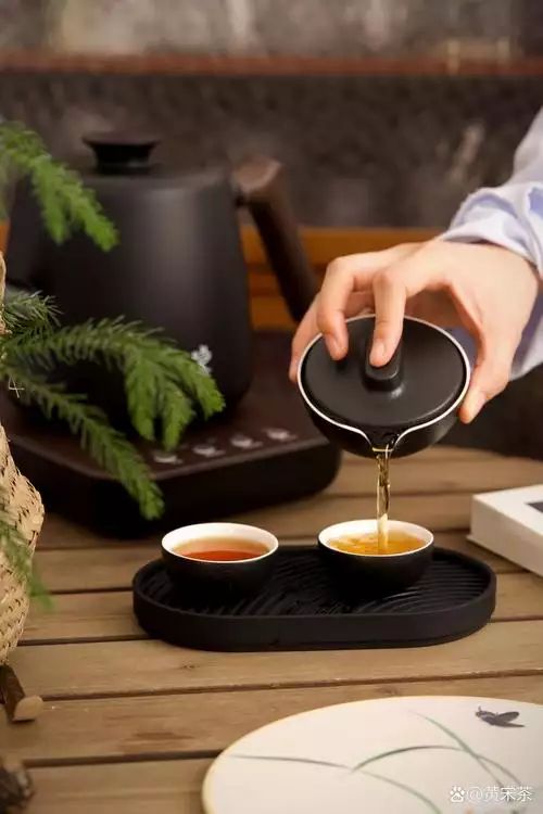 《茶学与茶科学》电子书：用科学视角看懂一片茶叶 免费下载